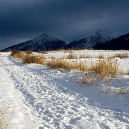 Дом отдыха Bouton D Or *