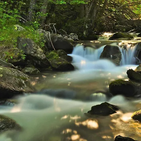 Bouton D Or Дом отдыха Bolquere