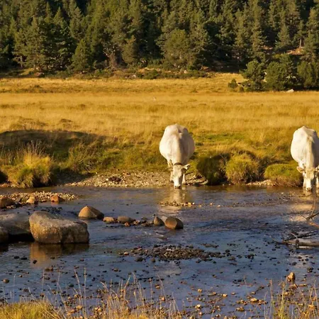 Дом отдыха Bouton D Or