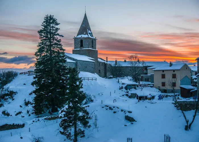 Bouton D Or * Bolquere Pyrenees 2000