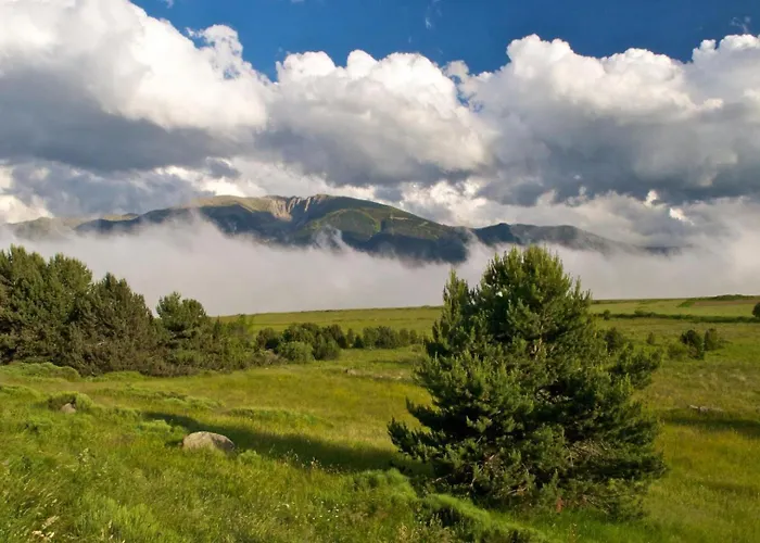 Casa de Férias Bouton D Or